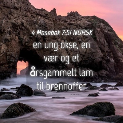 Picture 04 - 4 Mosebok 7:51 NORSK - en ung okse, en vær og et årsgammelt lam til - Bible Verse Picture