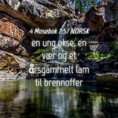 Picture 04 - 4 Mosebok 7:57 NORSK - en ung okse, en vær og et årsgammelt lam til - Bible Verse Picture