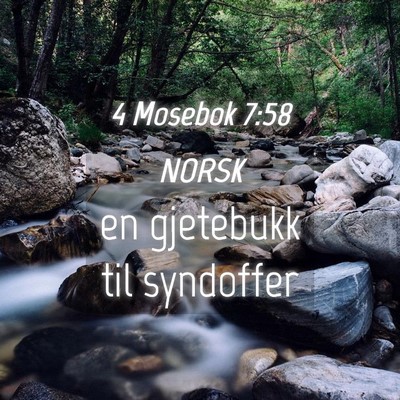 Picture 04 - 4 Mosebok 7:58 NORSK - en gjetebukk til - Bible Verse Picture