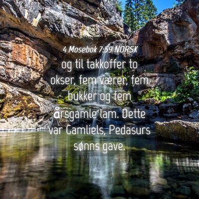 Picture 04 - 4 Mosebok 7:59 NORSK - og til takkoffer to okser, fem værer, fem bukker - Bible Verse Picture