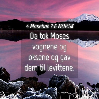 Picture 04 - 4 Mosebok 7:6 NORSK - Da tok Moses vognene og oksene og gav dem til - Bible Verse Picture