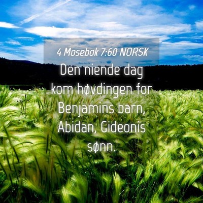 Picture 04 - 4 Mosebok 7:60 NORSK - Den niende dag kom høvdingen for Benjamins barn, - Bible Verse Picture