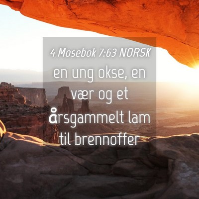 Picture 04 - 4 Mosebok 7:63 NORSK - en ung okse, en vær og et årsgammelt lam til - Bible Verse Picture