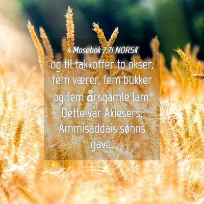 Picture 04 - 4 Mosebok 7:71 NORSK - og til takkoffer to okser, fem værer, fem bukker - Bible Verse Picture