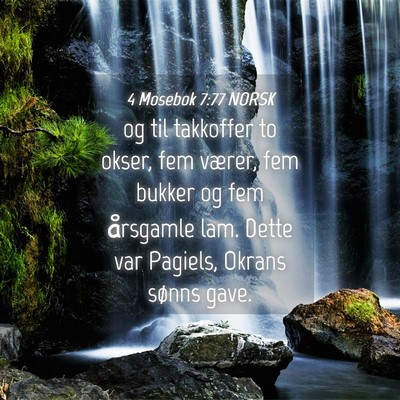 Picture 04 - 4 Mosebok 7:77 NORSK - og til takkoffer to okser, fem værer, fem bukker - Bible Verse Picture