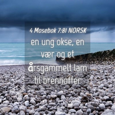 Picture 04 - 4 Mosebok 7:81 NORSK - en ung okse, en vær og et årsgammelt lam til - Bible Verse Picture