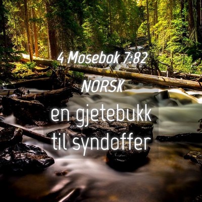 Picture 04 - 4 Mosebok 7:82 NORSK - en gjetebukk til - Bible Verse Picture