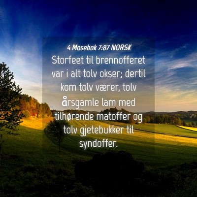 Picture 04 - 4 Mosebok 7:87 NORSK - Storfeet til brennofferet var i alt tolv okser; - Bible Verse Picture