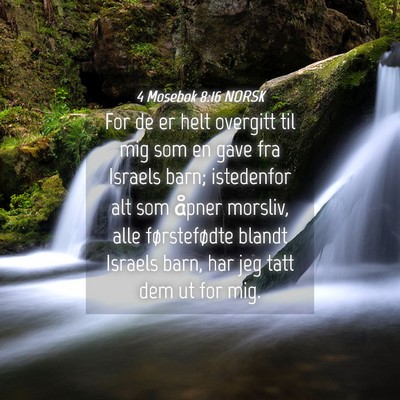 Picture 04 - 4 Mosebok 8:16 NORSK - For de er helt overgitt til mig som en gave fra - Bible Verse Picture