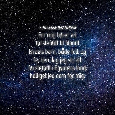 Picture 04 - 4 Mosebok 8:17 NORSK - For mig hører alt førstefødt til blandt - Bible Verse Picture