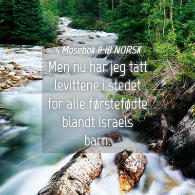 Picture 04 - 4 Mosebok 8:18 NORSK - Men nu har jeg tatt levittene i stedet for alle - Bible Verse Picture