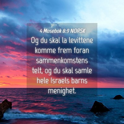 Picture 04 - 4 Mosebok 8:9 NORSK - Og du skal la levittene komme frem foran - Bible Verse Picture