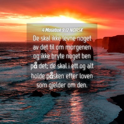 Picture 04 - 4 Mosebok 9:12 NORSK - De skal ikke levne noget av det til om morgenen - Bible Verse Picture