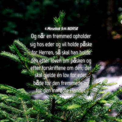 Picture 04 - 4 Mosebok 9:14 NORSK - Og når en fremmed opholder sig hos eder og vil - Bible Verse Picture