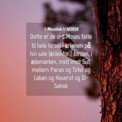 Picture 04 - 5 Mosebok 1:1 NORSK - Dette er de ord Moses talte til hele Israel i - Bible Verse Picture