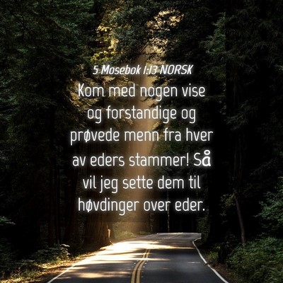 Picture 04 - 5 Mosebok 1:13 NORSK - Kom med nogen vise og forstandige og prøvede - Bible Verse Picture