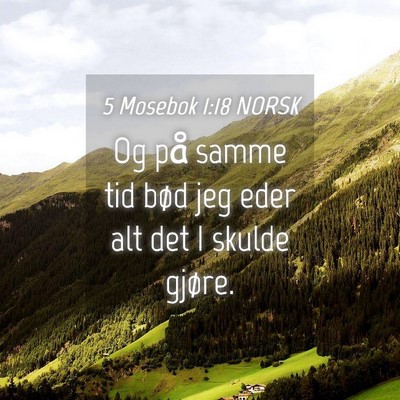 Picture 04 - 5 Mosebok 1:18 NORSK - Og på samme tid bød jeg eder alt det I skulde - Bible Verse Picture