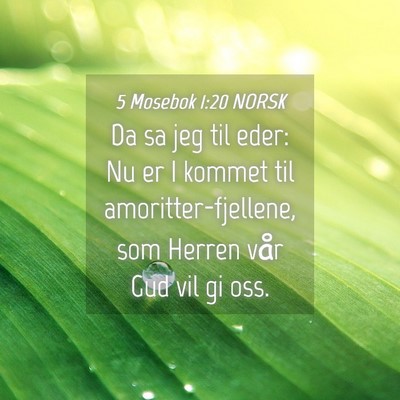 Picture 04 - 5 Mosebok 1:20 NORSK - Da sa jeg til eder: Nu er I kommet til - Bible Verse Picture