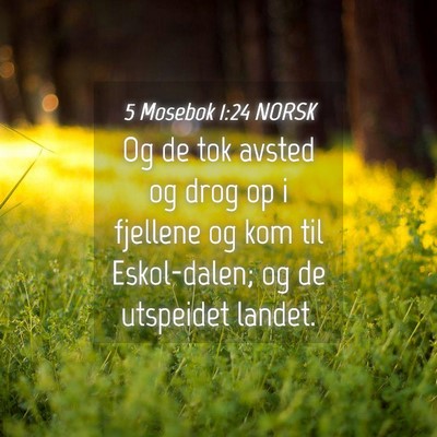 Picture 04 - 5 Mosebok 1:24 NORSK - Og de tok avsted og drog op i fjellene og kom til - Bible Verse Picture