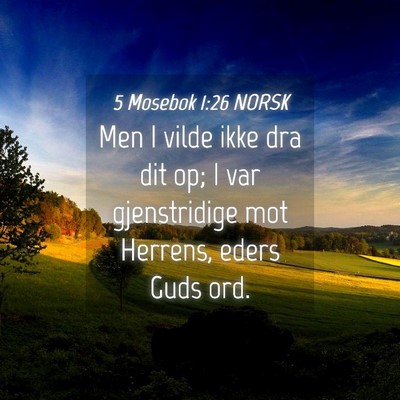 Picture 04 - 5 Mosebok 1:26 NORSK - Men I vilde ikke dra dit op; I var gjenstridige - Bible Verse Picture