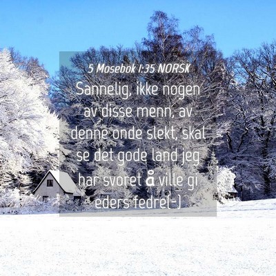 Picture 04 - 5 Mosebok 1:35 NORSK - Sannelig, ikke nogen av disse menn, av denne onde - Bible Verse Picture