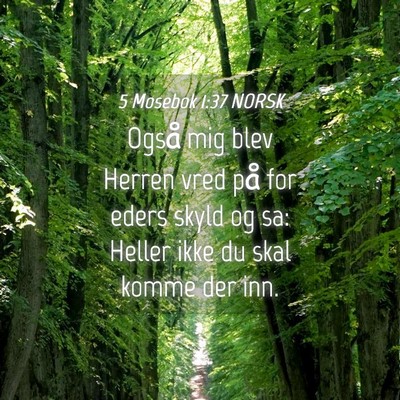 Picture 04 - 5 Mosebok 1:37 NORSK - Også mig blev Herren vred på for eders skyld og - Bible Verse Picture
