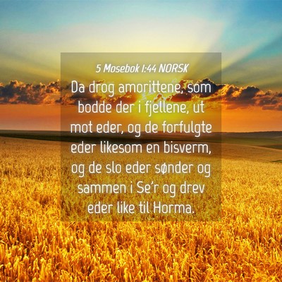 Picture 04 - 5 Mosebok 1:44 NORSK - Da drog amorittene, som bodde der i fjellene, ut - Bible Verse Picture