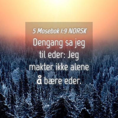 Picture 04 - 5 Mosebok 1:9 NORSK - Dengang sa jeg til eder: Jeg makter ikke alene å - Bible Verse Picture