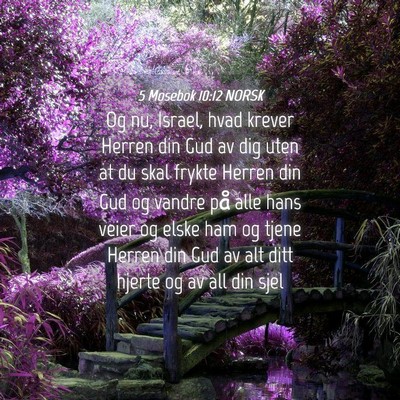 Picture 04 - 5 Mosebok 10:12 NORSK - Og nu, Israel, hvad krever Herren din Gud av dig - Bible Verse Picture
