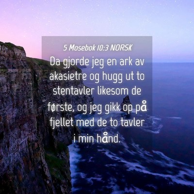 Picture 04 - 5 Mosebok 10:3 NORSK - Da gjorde jeg en ark av akasietre og hugg ut to - Bible Verse Picture