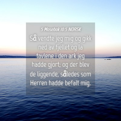 Picture 04 - 5 Mosebok 10:5 NORSK - Så vendte jeg mig og gikk ned av fjellet og la - Bible Verse Picture