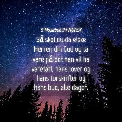 Picture 04 - 5 Mosebok 11:1 NORSK - Så skal du da elske Herren din Gud og ta vare - Bible Verse Picture