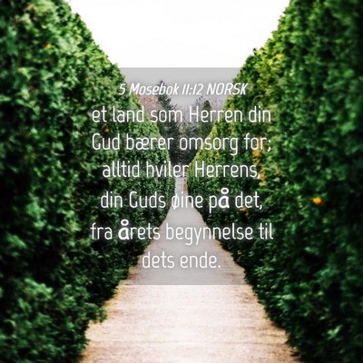 Picture 04 - 5 Mosebok 11:12 NORSK - et land som Herren din Gud bærer omsorg for; - Bible Verse Picture