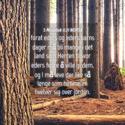 Picture 04 - 5 Mosebok 11:21 NORSK - forat eders og eders barns dager må bli mange i - Bible Verse Picture