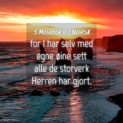 Picture 04 - 5 Mosebok 11:7 NORSK - for I har selv med egne øine sett alle de - Bible Verse Picture