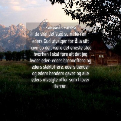 Picture 04 - 5 Mosebok 12:11 NORSK - da skal det sted som Herren eders Gud utvelger - Bible Verse Picture