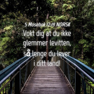 Picture 04 - 5 Mosebok 12:19 NORSK - Vokt dig at du ikke glemmer levitten, så lenge - Bible Verse Picture