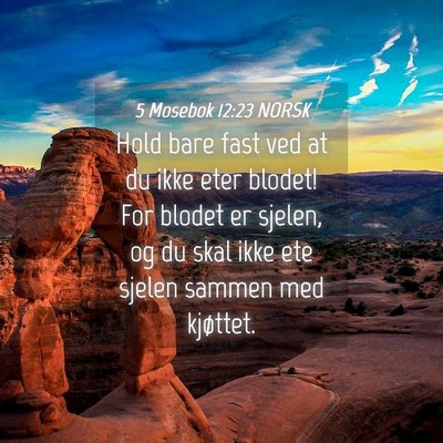 Picture 04 - 5 Mosebok 12:23 NORSK - Hold bare fast ved at du ikke eter blodet! For - Bible Verse Picture