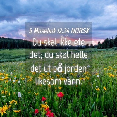 Picture 04 - 5 Mosebok 12:24 NORSK - Du skal ikke ete det; du skal helle det ut på - Bible Verse Picture