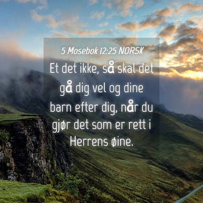 Picture 04 - 5 Mosebok 12:25 NORSK - Et det ikke, så skal det gå dig vel og dine - Bible Verse Picture