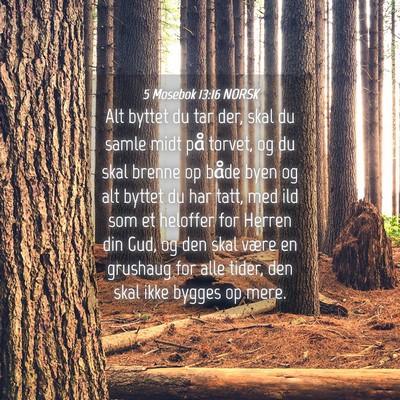 Picture 04 - 5 Mosebok 13:16 NORSK - Alt byttet du tar der, skal du samle midt på - Bible Verse Picture