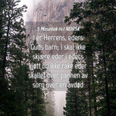 Picture 04 - 5 Mosebok 14:1 NORSK - I er Herrens, eders Guds barn; I skal ikke - Bible Verse Picture
