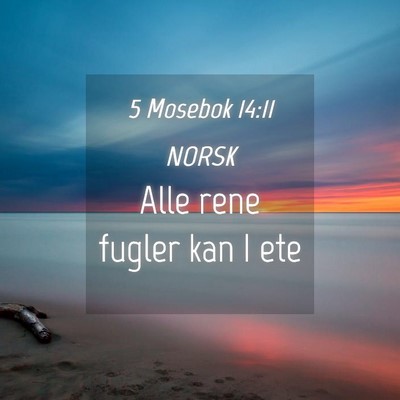 Picture 04 - 5 Mosebok 14:11 NORSK - Alle rene fugler kan I - Bible Verse Picture
