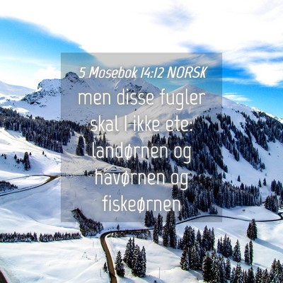Picture 04 - 5 Mosebok 14:12 NORSK - men disse fugler skal I ikke ete: landørnen og - Bible Verse Picture