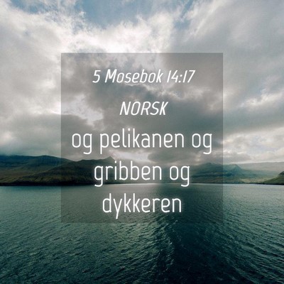 Picture 04 - 5 Mosebok 14:17 NORSK - og pelikanen og gribben og - Bible Verse Picture