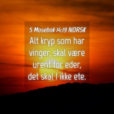 Picture 04 - 5 Mosebok 14:19 NORSK - Alt kryp som har vinger, skal være urent for - Bible Verse Picture