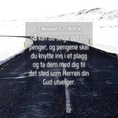 Picture 04 - 5 Mosebok 14:25 NORSK - så kan du selge det for penger, og pengene skal - Bible Verse Picture