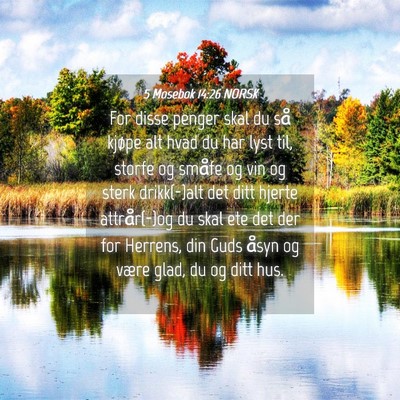 Picture 04 - 5 Mosebok 14:26 NORSK - For disse penger skal du så kjøpe alt hvad du - Bible Verse Picture