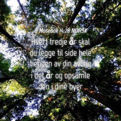 Picture 04 - 5 Mosebok 14:28 NORSK - Hvert tredje år skal du legge til side hele - Bible Verse Picture