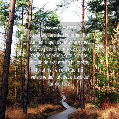 Picture 04 - 5 Mosebok 14:29 NORSK - og så skal levitten komme(-)for han har ingen - Bible Verse Picture